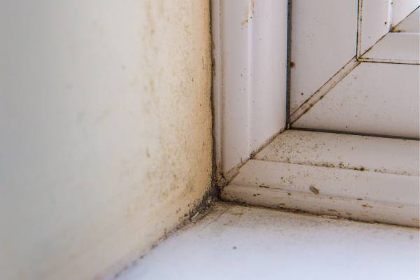 ¿Por qué aparecen manchas negras bajo las ventanas? Solución definitiva a las “chorreras” en fachada.