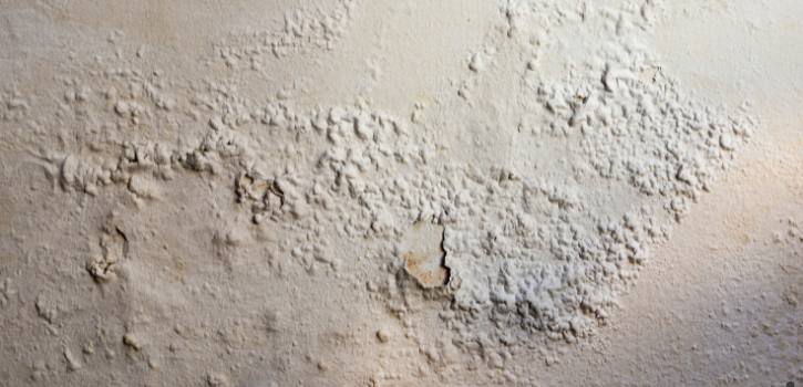 Soluciona Problema de Humedad por Capilaridad con Cubremuros.